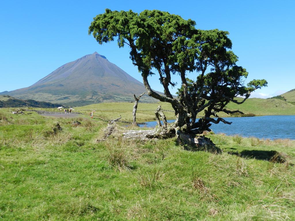 Adega Pedra Do Lagar Villa Calheta de Nesquim Eksteriør bilde